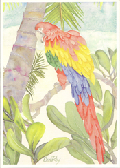 NC011-Parrot Paradise